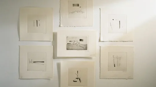 Collection d'estampes originales et lithographies disposées avec soin, éclairage tamisé de galerie d'art