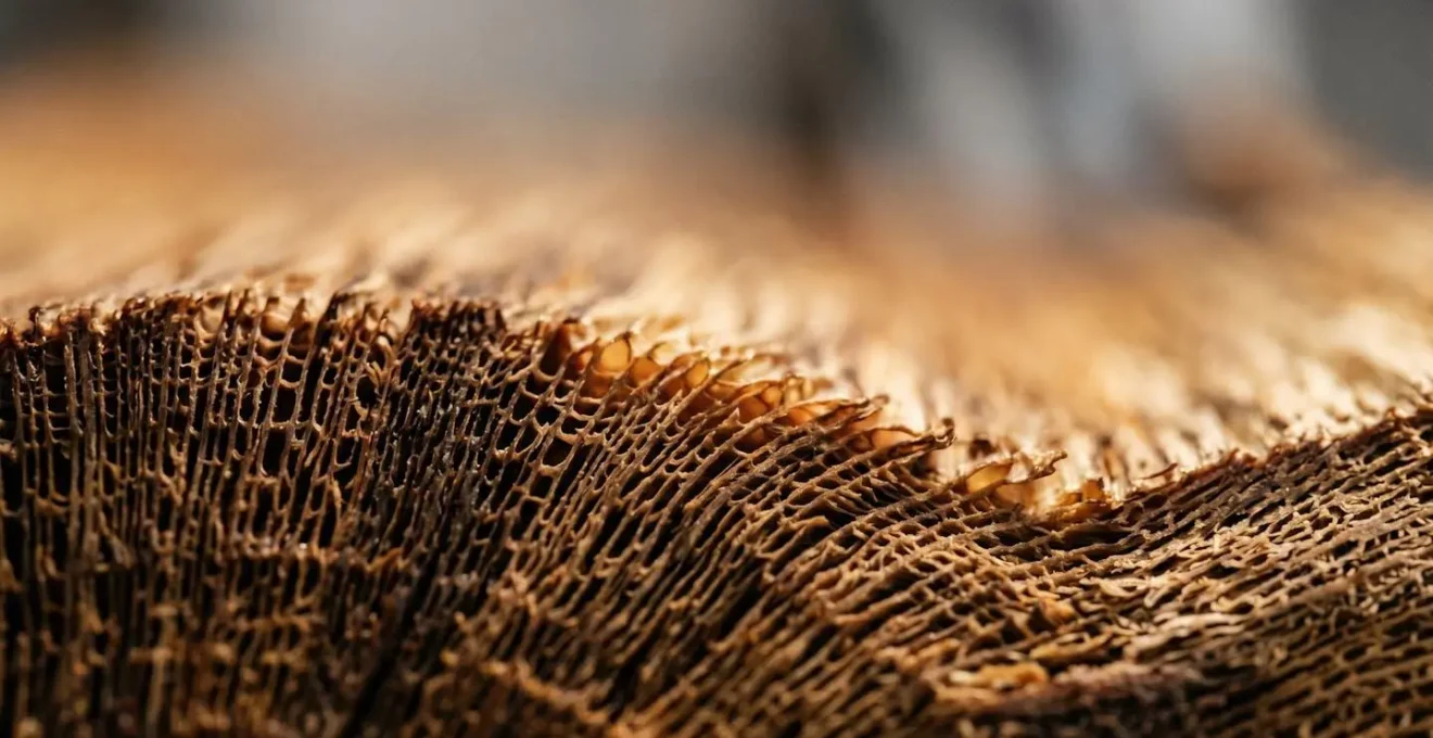 Vue macro du grain d'un bois de châssis révélant ses fibres hygroscopiques naturelles